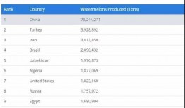 吃瓜爆料在线入口网址 吃瓜是什么意思,网络热词背后的娱乐现象与社会心态